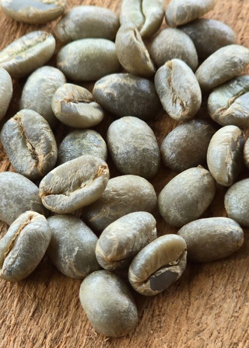 gorilla organic coffee